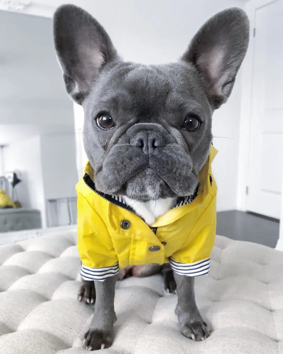 Classic Yellow Waterproof Raincoat