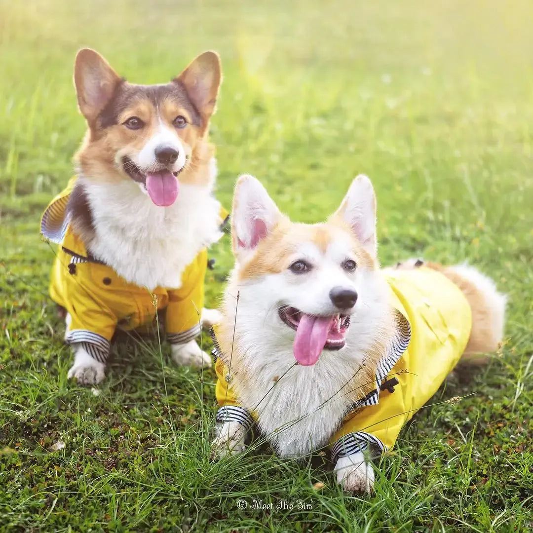 Classic Yellow Waterproof Raincoat