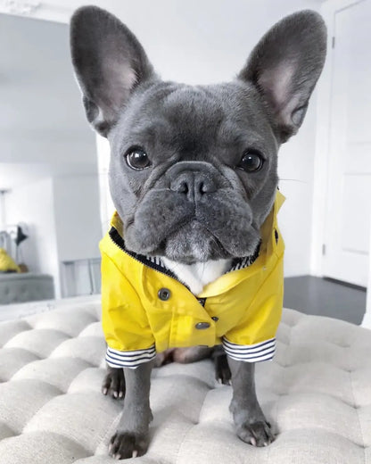 Classic Yellow Waterproof Raincoat