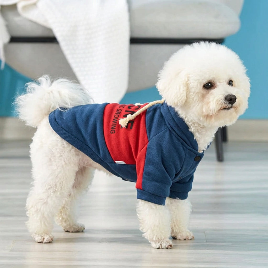 d13028e29dcb44a4625172c555108652
