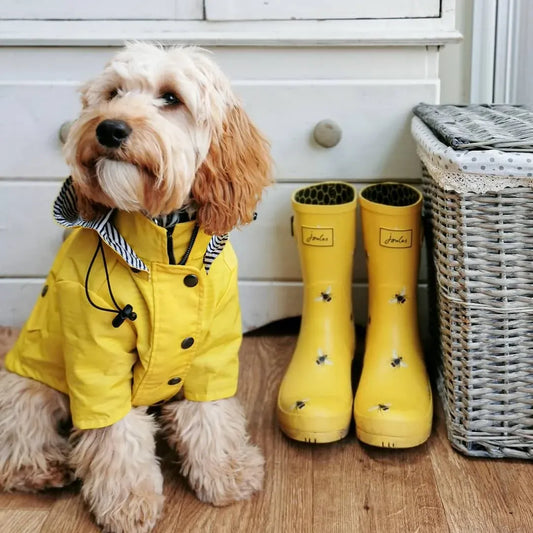 Classic Yellow Waterproof Raincoat