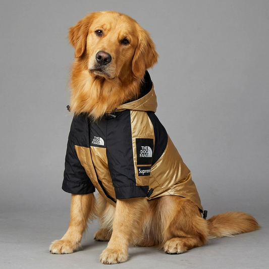 The Dog Fans Raincoat